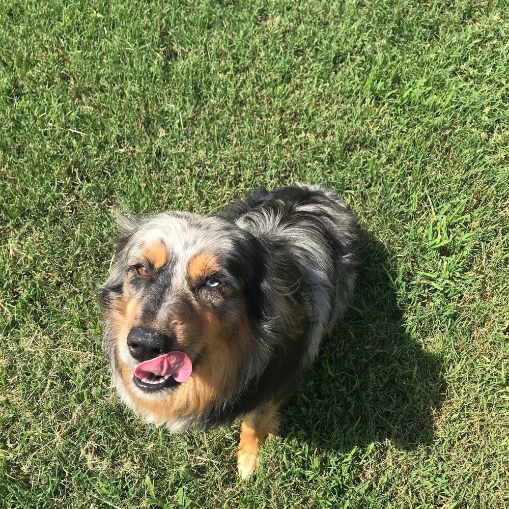 Meet your Posher, Ellie